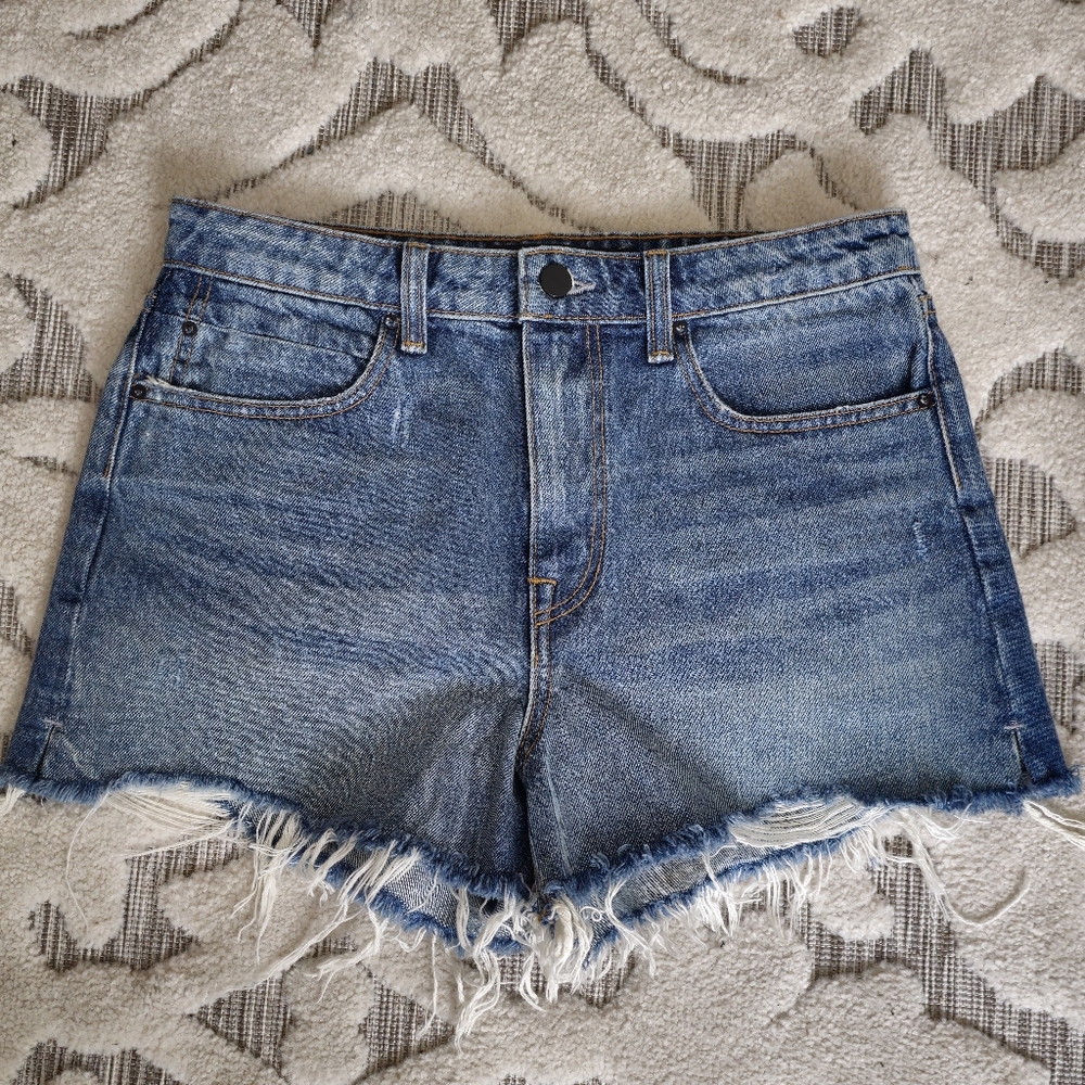 Alexander wang denim shorts